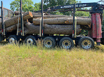 Absolute lawn and tree workz - Photo 7 - Car repair in , Hagerstown