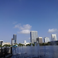 Essential companion services - Photo 4 - Car repair in , Orlando