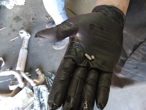 Honda Dealer «Western Honda Powersports», reviews and photos, 6717 E McDowell Rd, Scottsdale, AZ 85257, USA