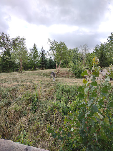 Zoo «Arctic Ring of Life», reviews and photos, 8450 W 10 Mile Rd, Royal Oak, MI 48067, USA