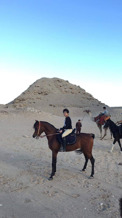 Egyptian Riding School
