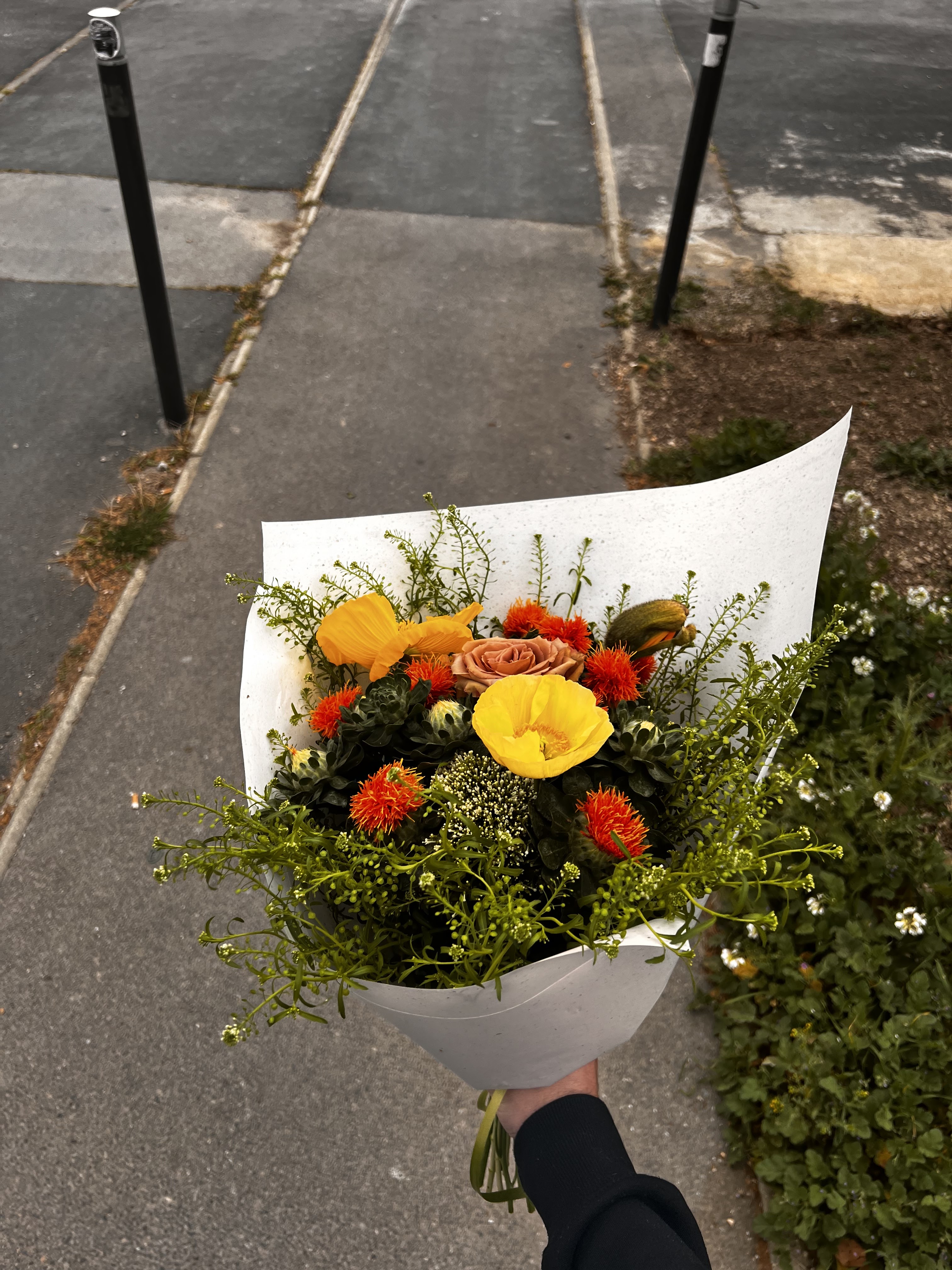 Photo n° 1 de l'avis de emilien.i fait le 20/03/2024 à 16:48
