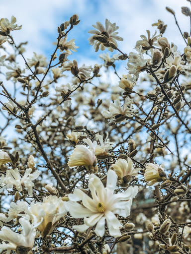 Golf Course «Diamond Woods Golf Course», reviews and photos, 96040 Territorial Rd, Monroe, OR 97456, USA