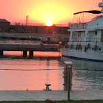 Photo n°1 de l'avis de Alberto.e fait le 11/08/2021 à 16:55 sur le  Etoile restaurant à Pisa