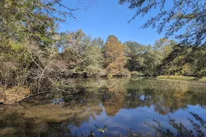 Goldsmith Schiffman Wildlife Sanctuary image