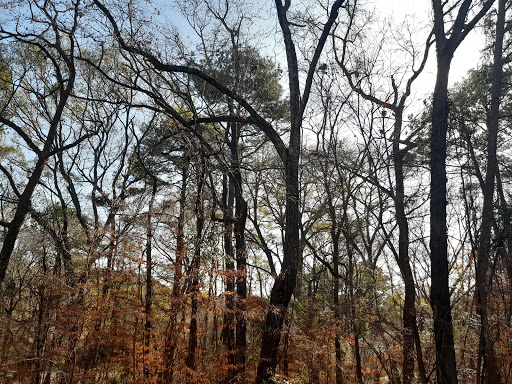 Water Park «Waterpark at the Villages», reviews and photos, 18270 Singing Wood Ln, Flint, TX 75762, USA