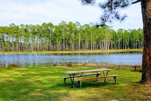 Conecuh National Forest image