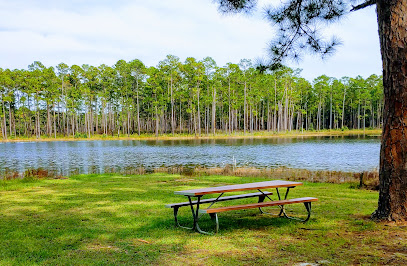 Conecuh National Forest