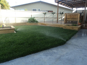 Turf and Section Solutions