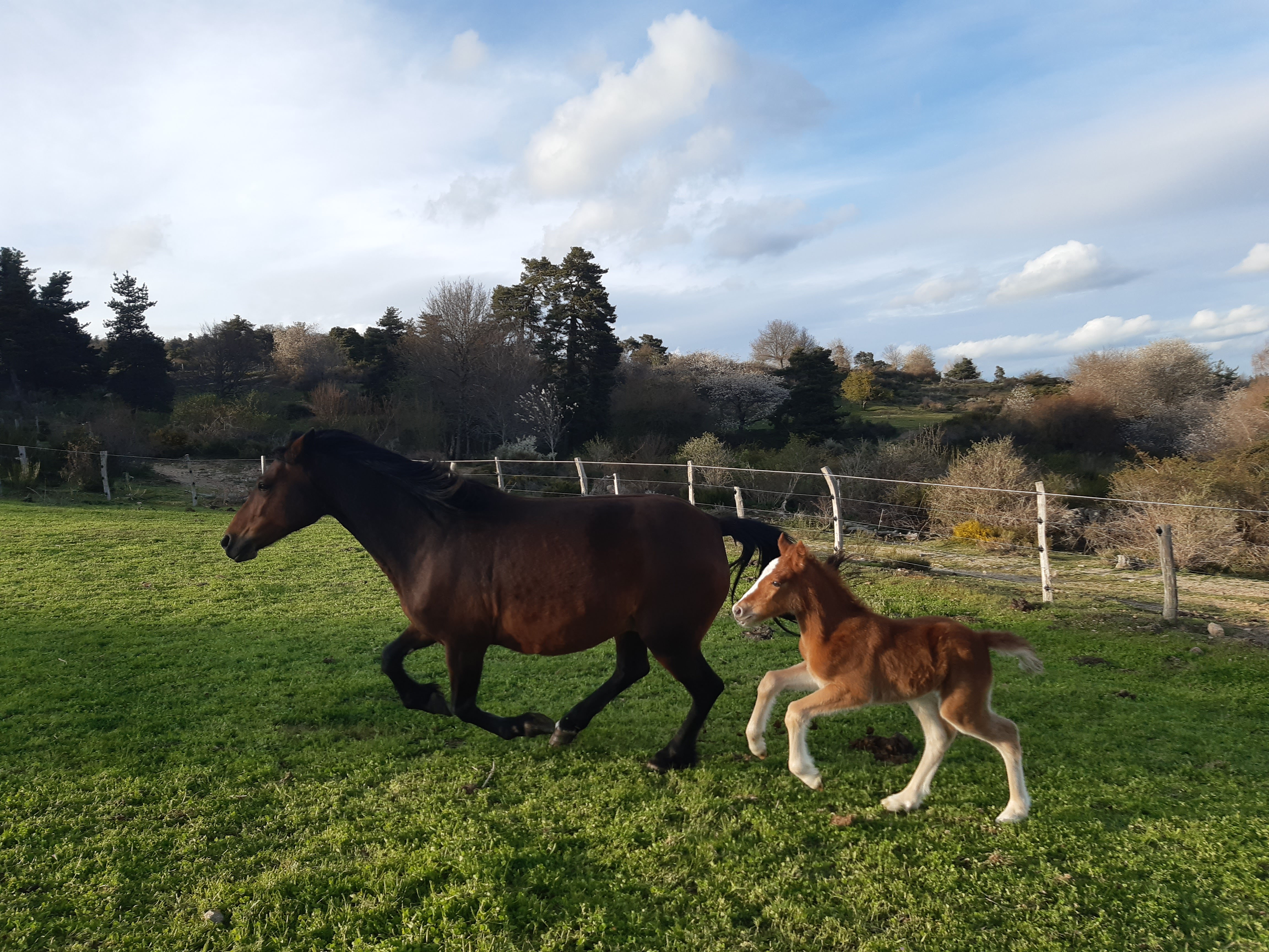 Photo n° 39 de l'avis de Laurent.o fait le 20/11/2023 à 22:32