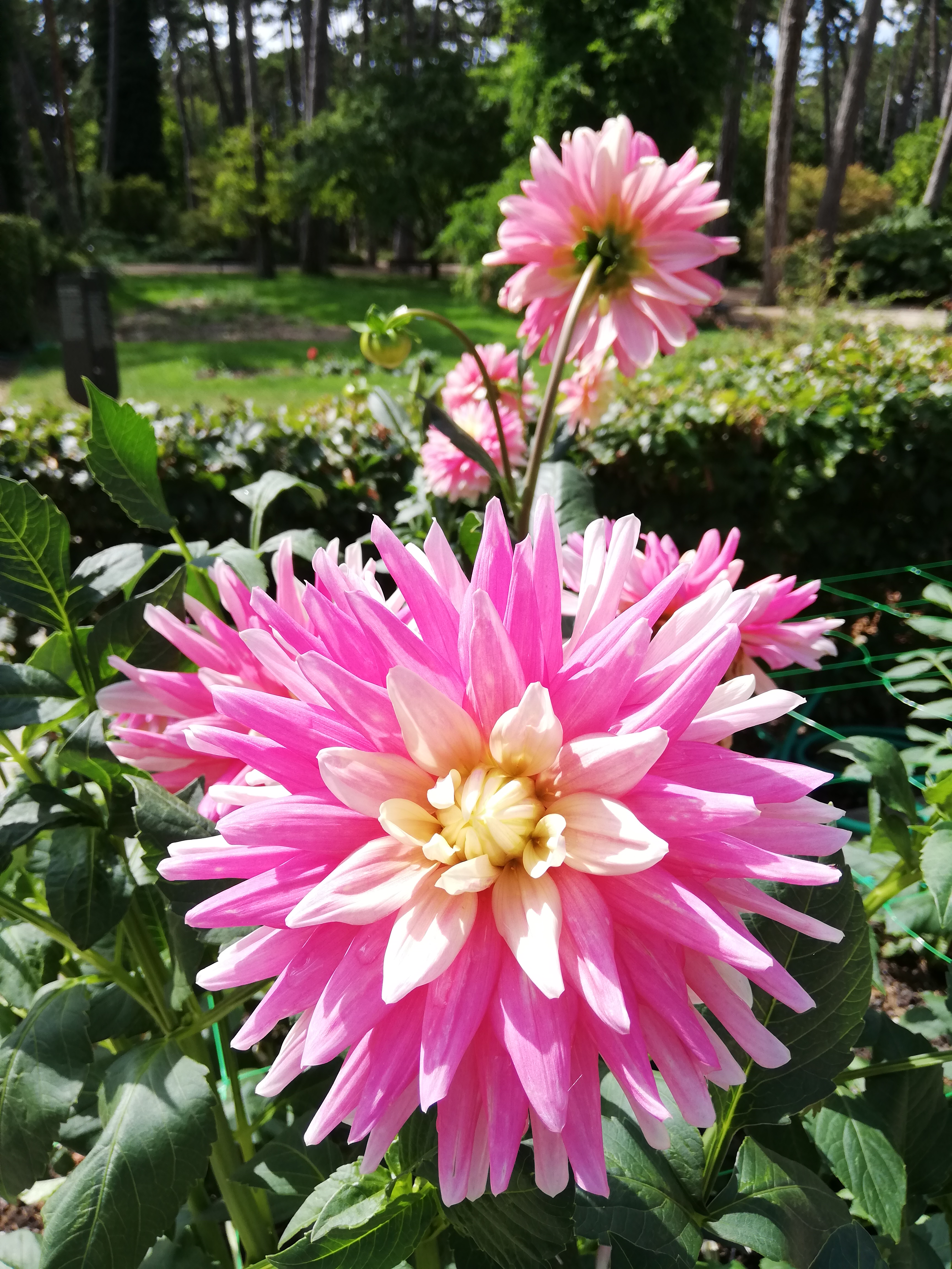 Photo n° 5 de l'avis de Samia.e fait le 16/08/2020 à 16:39