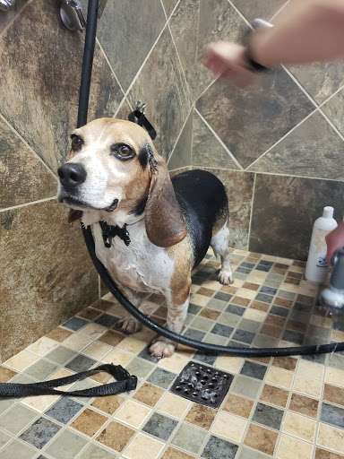 Pet Store «Pet Valu», reviews and photos, 115 Mill Plain Rd, Danbury, CT 06811, USA