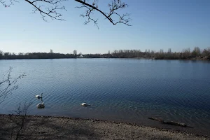 Gänsedrecksee image