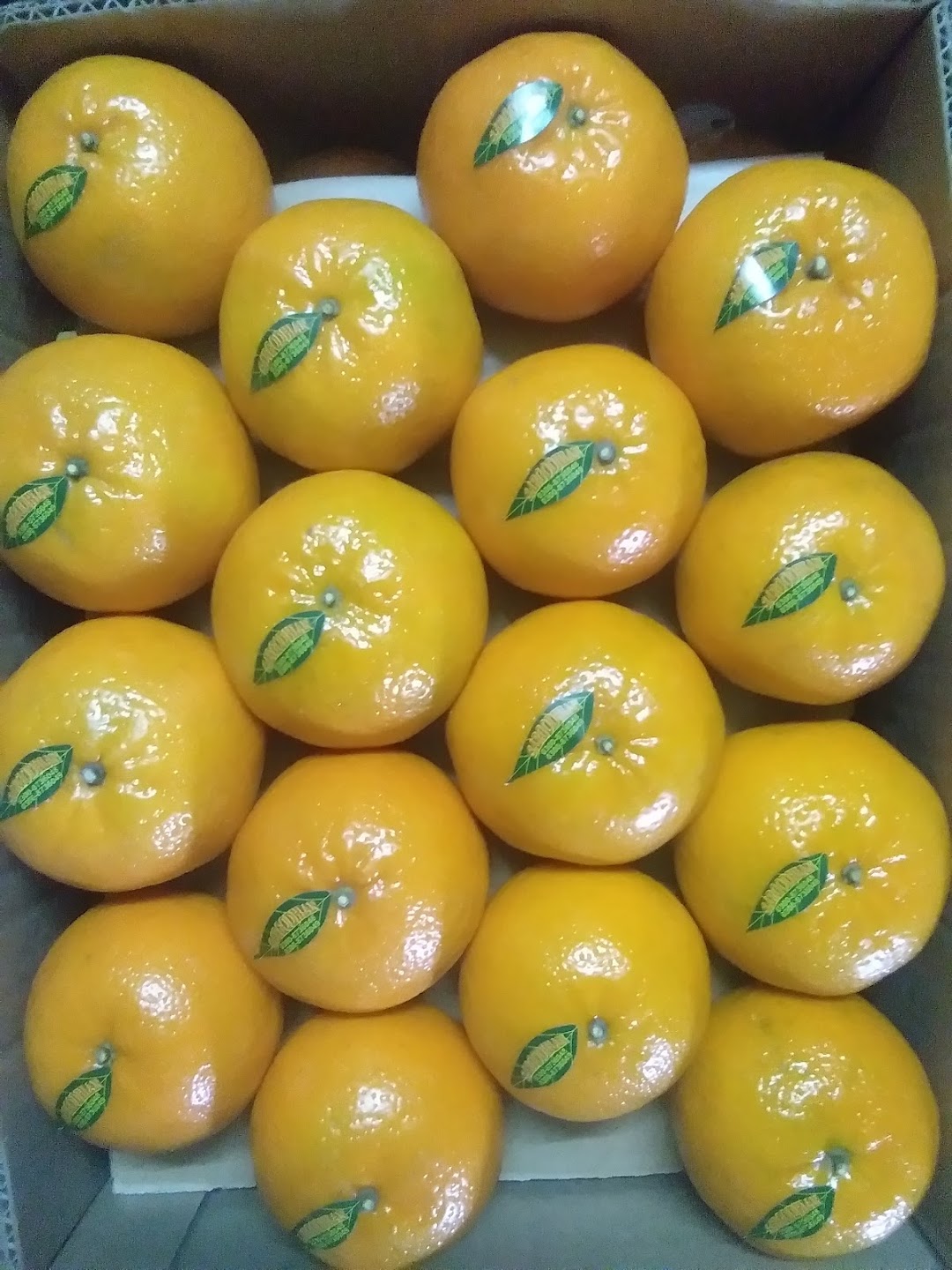Sargodha Mandarin(Pvt)Ltd