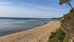Photo de Birdrock Beach zone des équipements