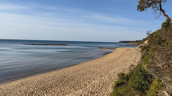 Birdrock Beach