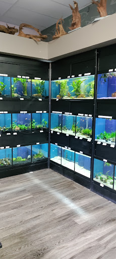 Tropical Fish Store «Aquarium Artisans», reviews and photos, 8005 Plainfield Rd #11, Cincinnati, OH 45236, USA