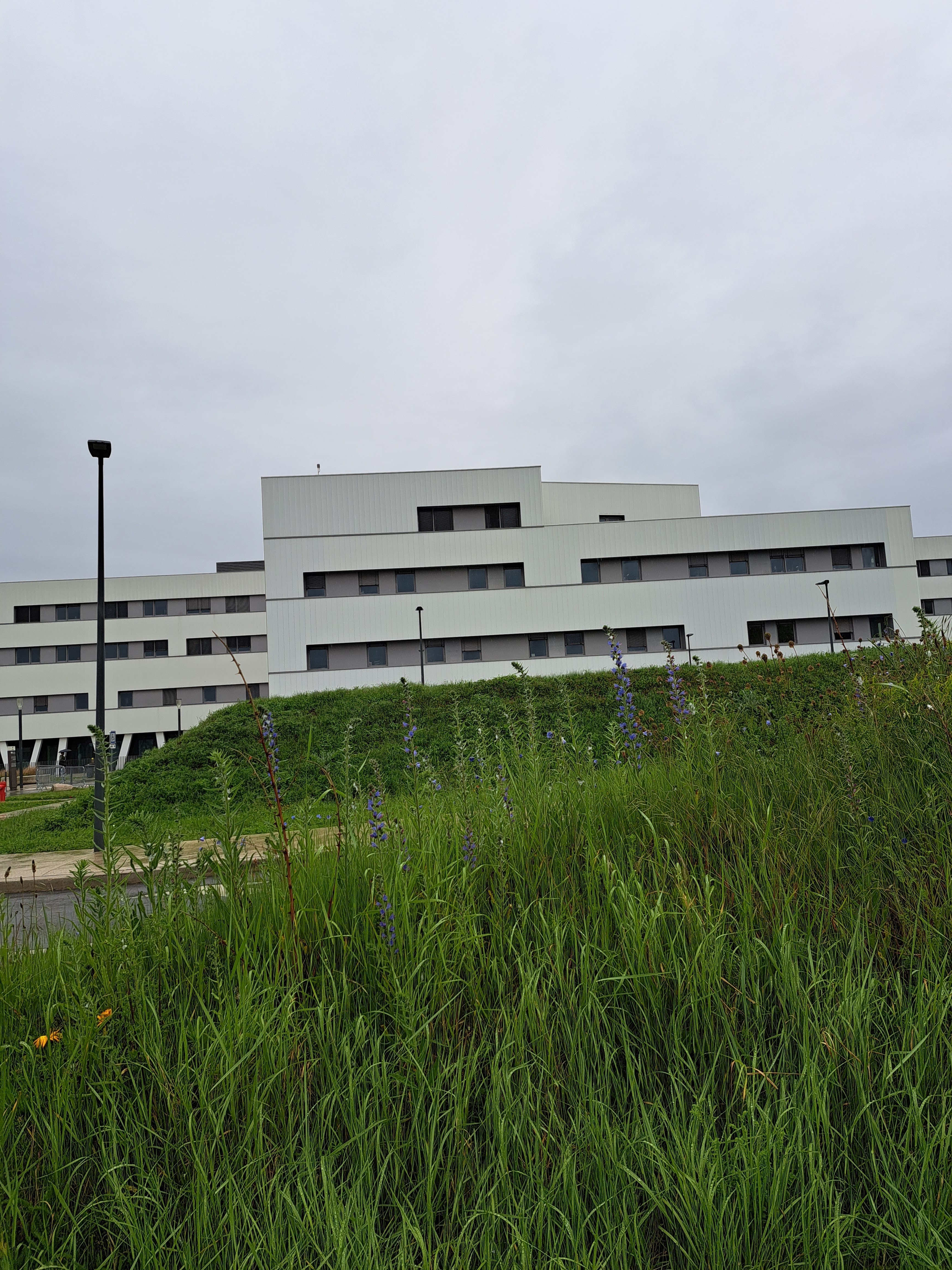 Photo #7 de Centre hospitalier de Melun