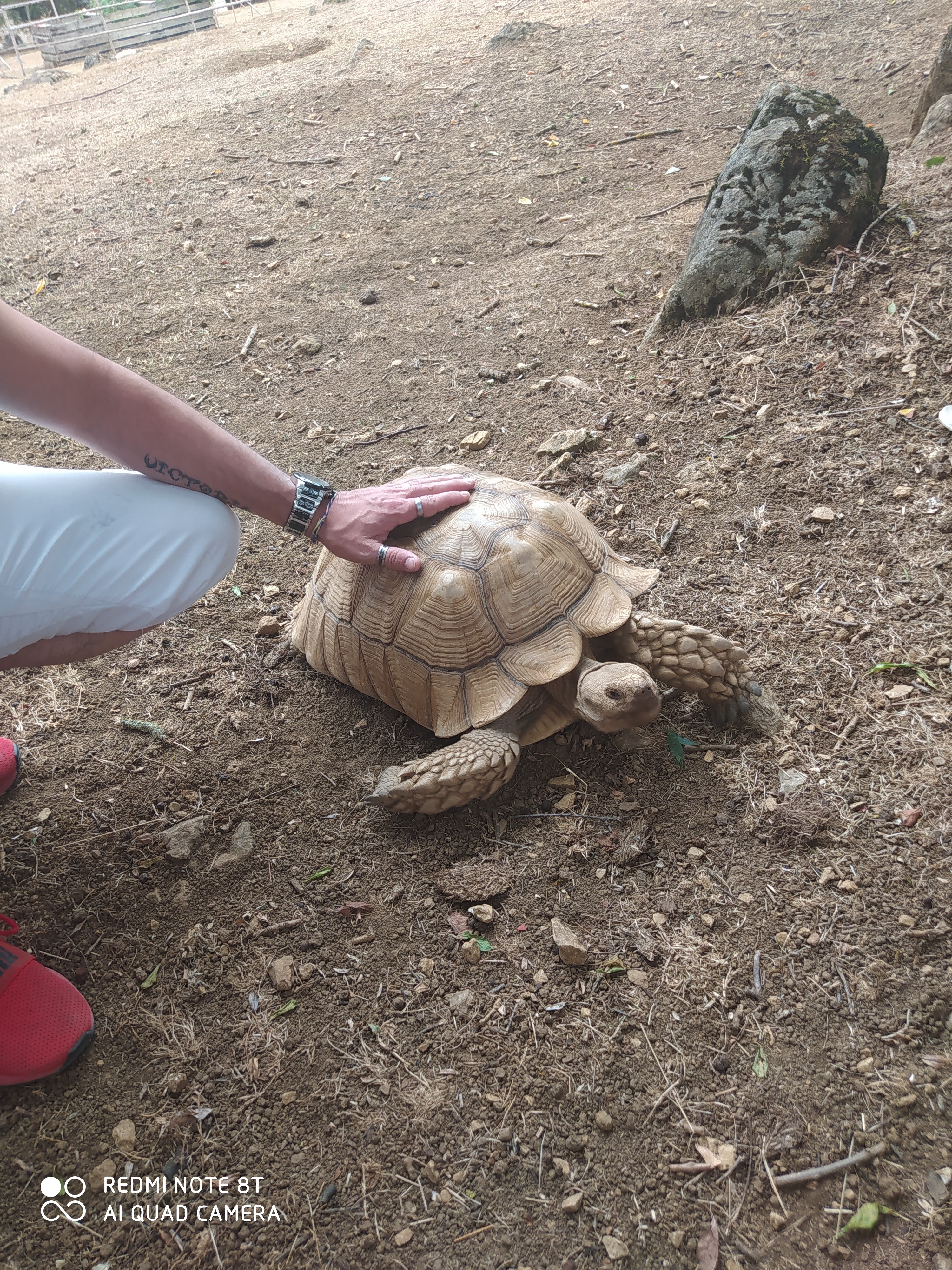 Photo n° 1 de l'avis de Sophie.a fait le 22/08/2022 à 14:18