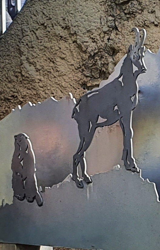 Photo n° 1 de l'avis de Titi.A fait le 28/02/2021 à 16:10