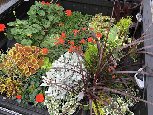 Florist «Vanlierop Garden Market Ltd», reviews and photos, 1020 Ryan Ave, Sumner, WA 98390, USA