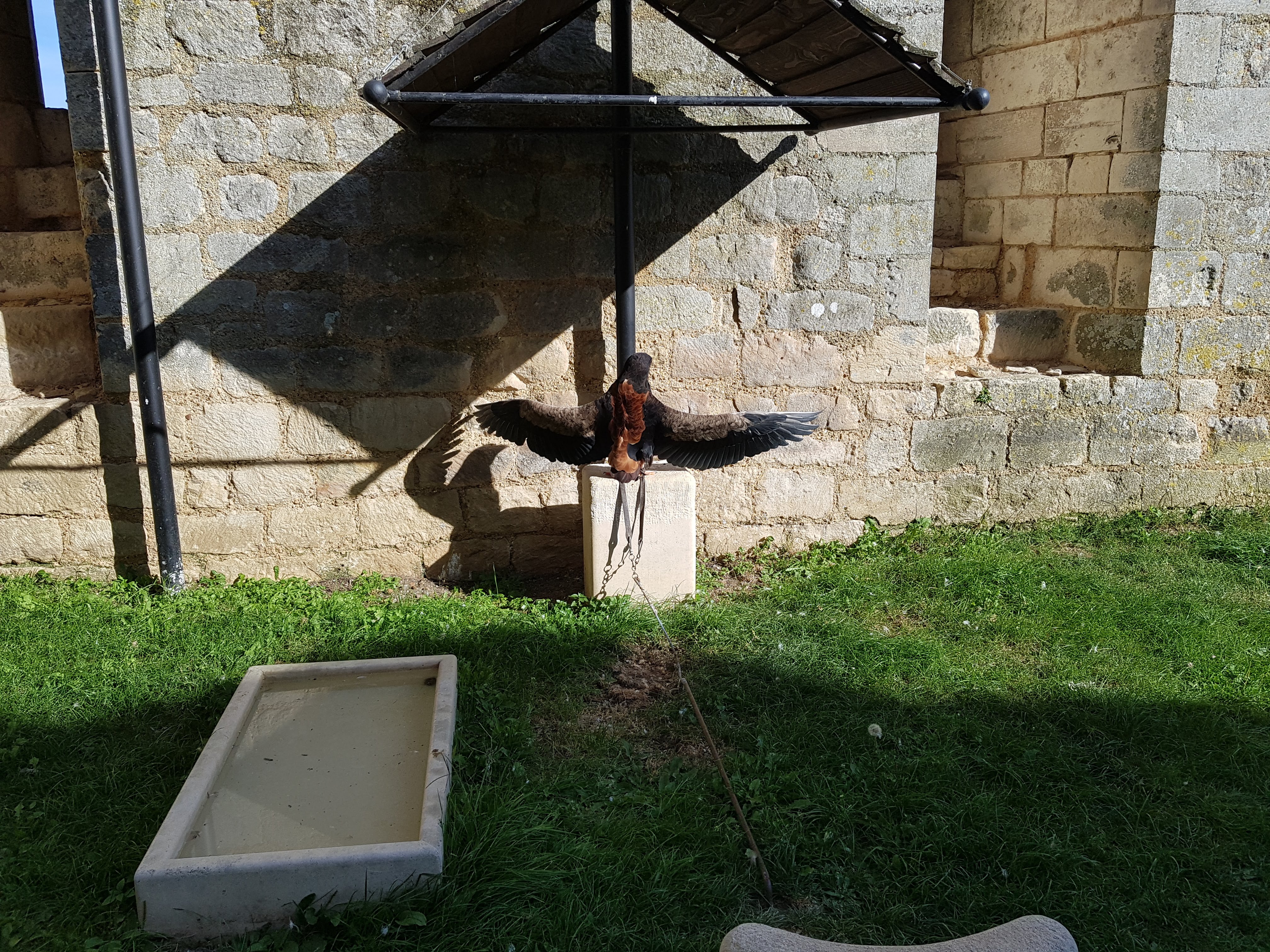 Photo n° 20 de l'avis de Alexandre.L fait le 24/09/2017 à 17:00