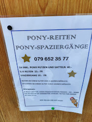 Ponyreiten für Kinder