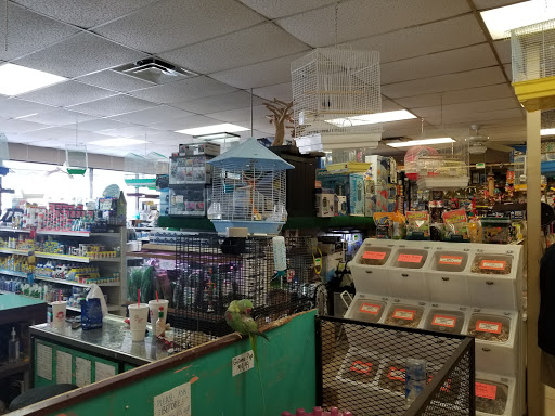 Pet Store «Fosters Exotic Pet Center», reviews and photos, 40116 US Hwy 19 N, Tarpon Springs, FL 34689, USA