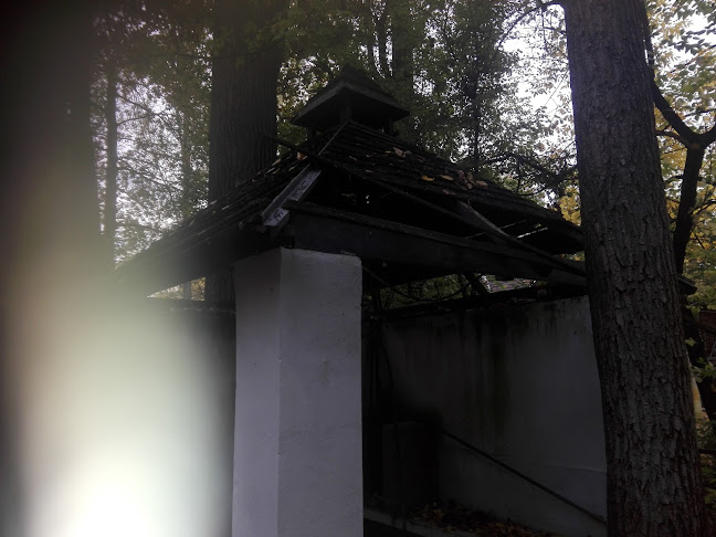 Comentarii opinii despre Riverside Mártély