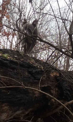 Park «Keehner park», reviews and photos, 7411 Barret Rd, West Chester Township, OH 45069, USA