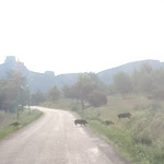 Photo n° 5 de l'avis de Franck.i fait le 17/09/2018 à 10:03 pour Parc naturel régional des Alpilles à Saint-Rémy-de-Provence