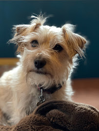 Sadie's Landing - Photo 3 - Car repair in Portland, OR, Portland