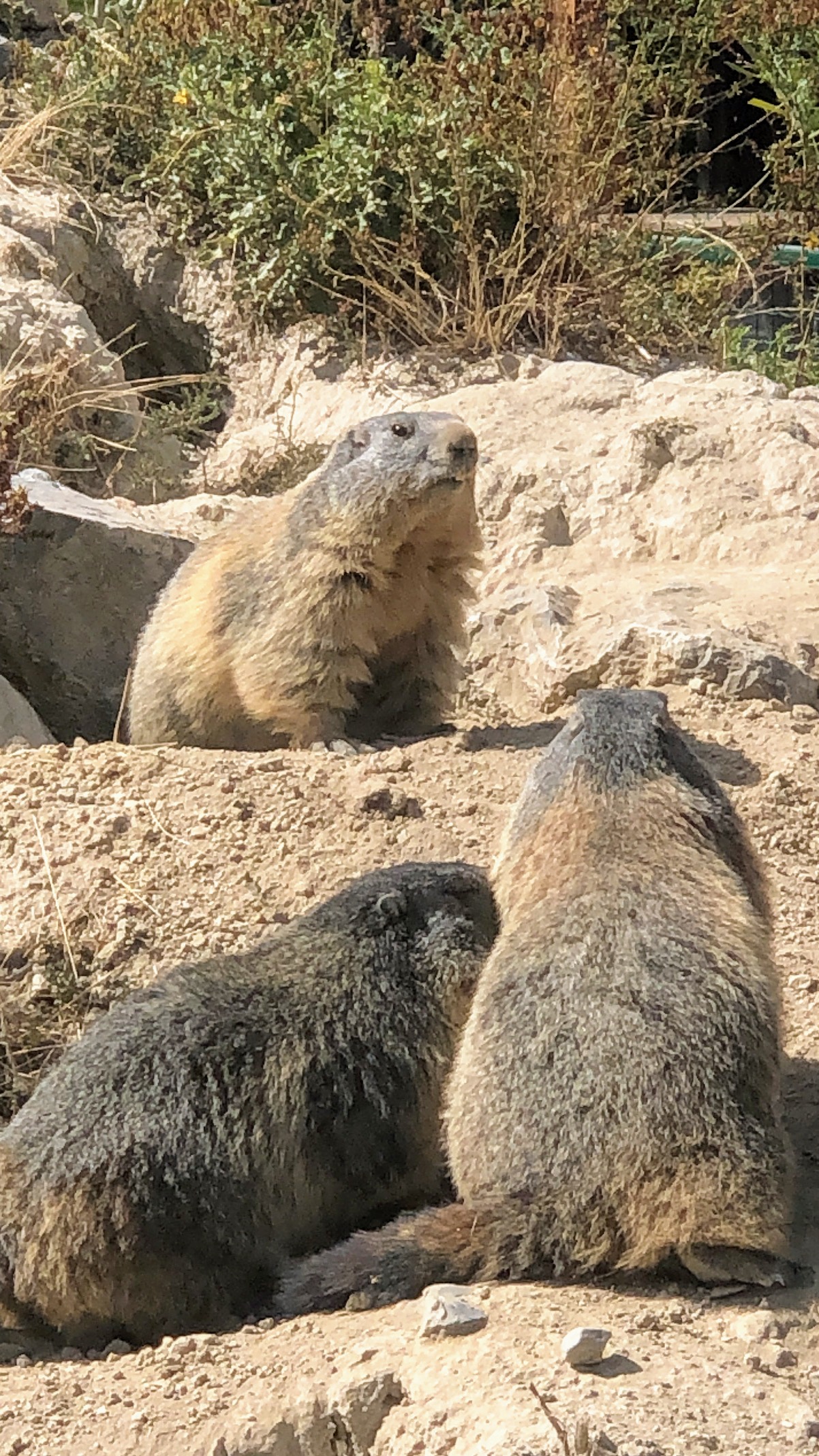 Photo n° 19 de l'avis de Jérémie.r fait le 28/08/2020 à 17:19