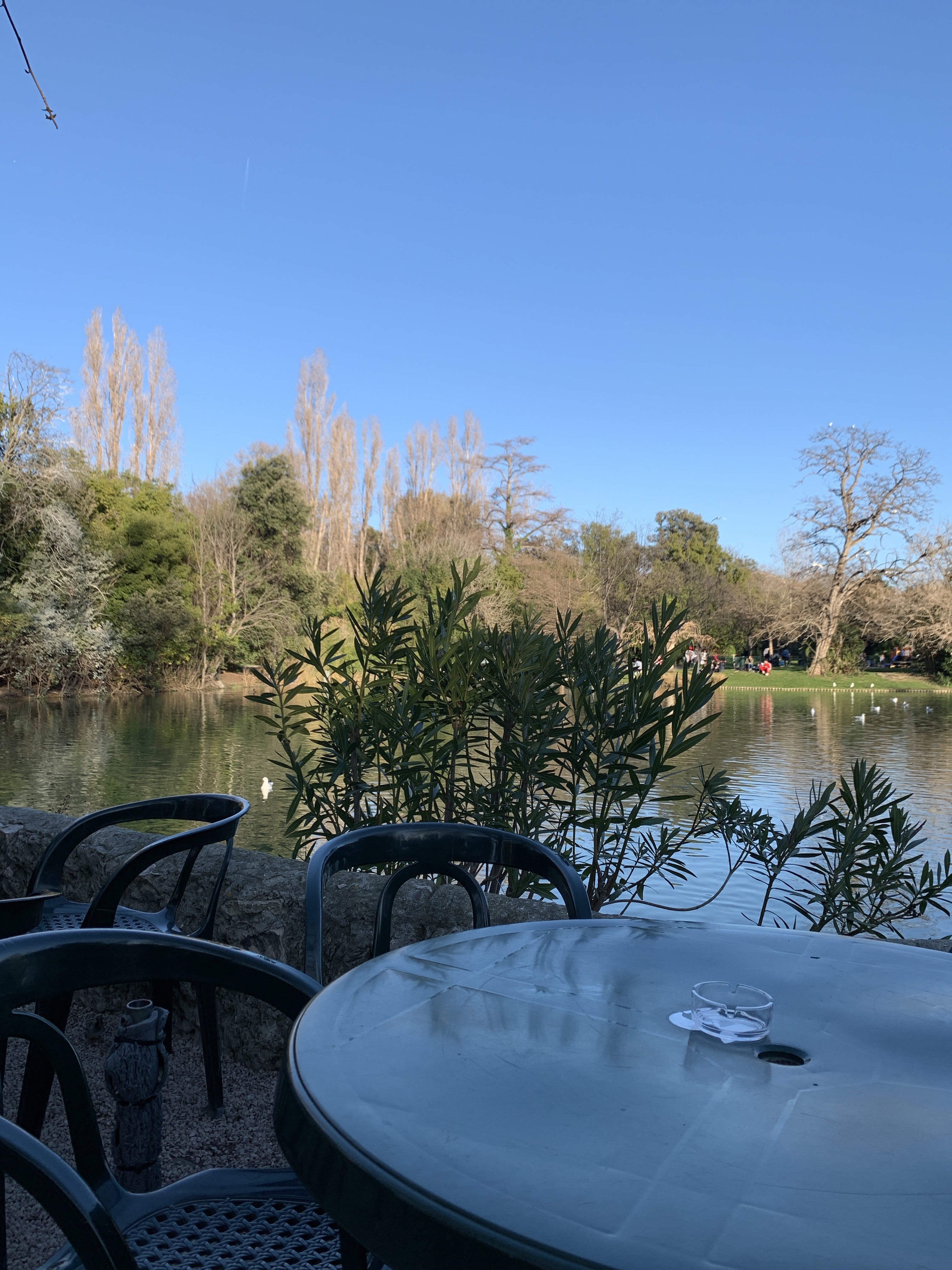 Photo n° 1 de l'avis de Corentin. fait le 20/02/2020 à 15:52