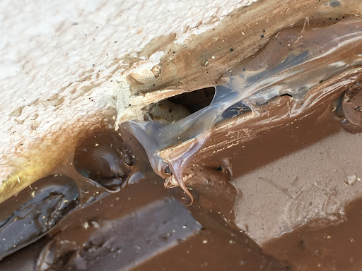 Roofing Contractor «Advanced Exteriors, Inc.», reviews and photos