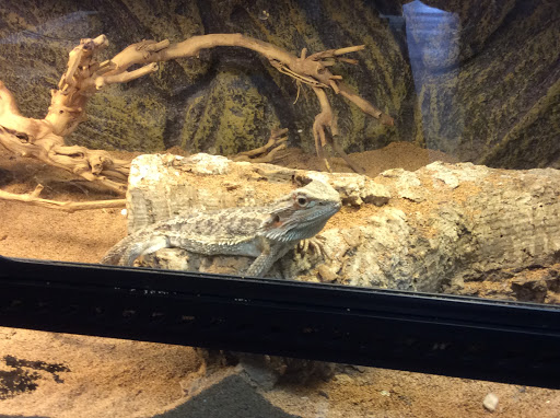 Pet Store «Fin & Feather Pet Center, Inc.», reviews and photos, 5208 Lakeside Ave, Richmond, VA 23228, USA