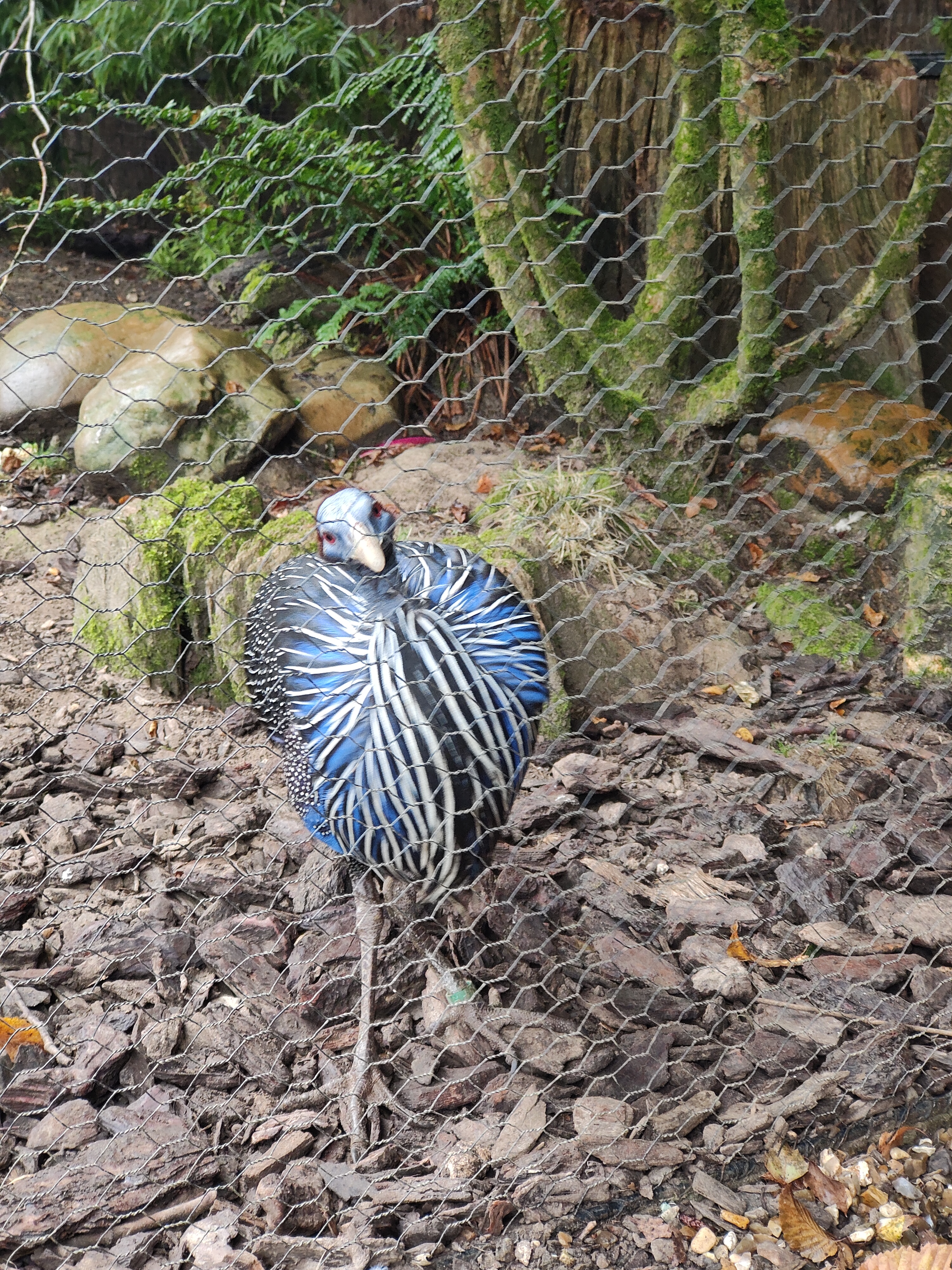 Photo n° 4 de l'avis de amourette.h fait le 19/09/2023 à 06:08