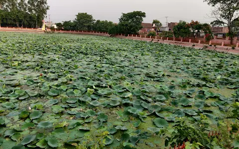 श्री त्रिपुर बाला सुंदरी मंदिर image