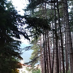 Photo n°5 de l'avis de Daniele.e fait le 17/08/2018 à 18:09 sur le  Ristorante Bar la Pineta à Villavallelonga