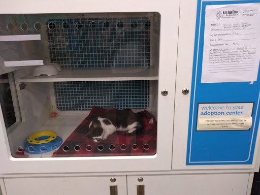 Pet Supply Store «Petco Animal Supplies», reviews and photos, 3000 Gateway St #220, Springfield, OR 97477, USA