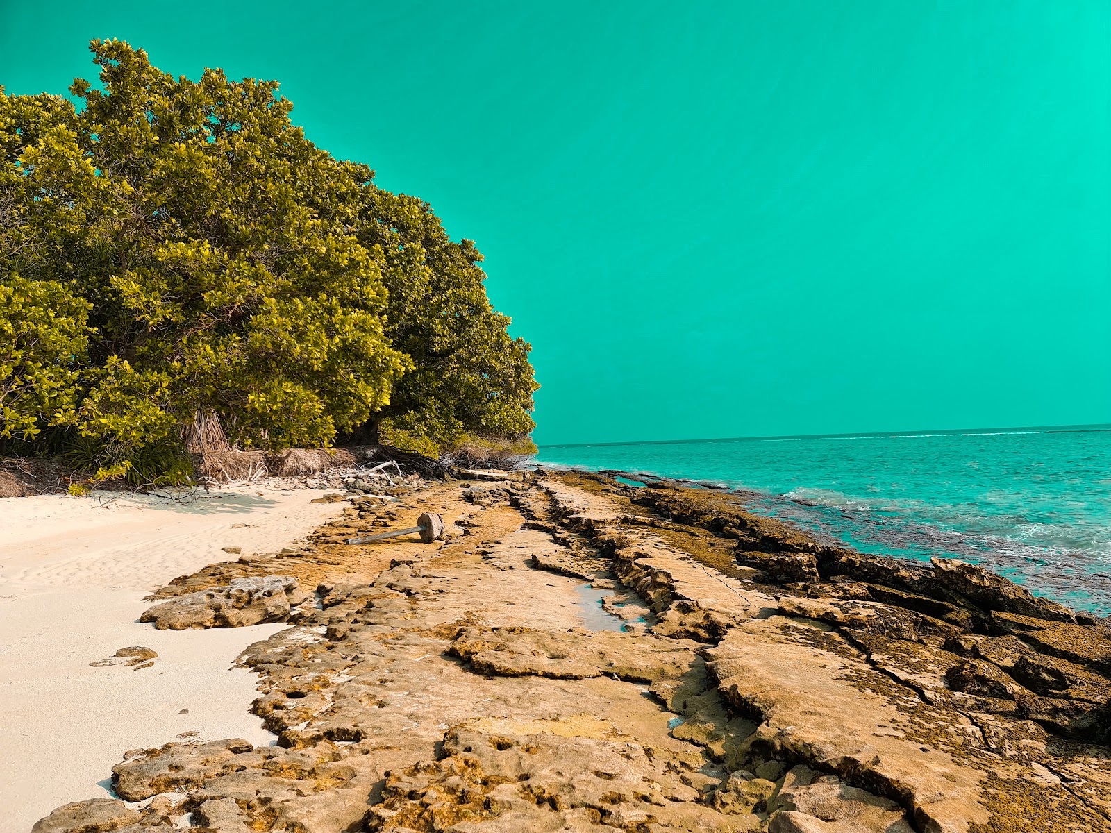 Photo de Seaside Funama avec un rivage spacieux