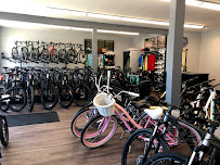 Trek Bicycle East Northport - Photo 6 - Car repair in East Northport, NY, Stamford