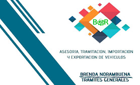 BR ASESORIA TRAMITACION IMPORTACION Y EXPORTACION SPA