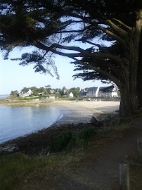 Port Navalo du Restaurant français Restaurant Le Marin à Arzon - n°2