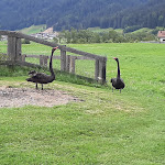 Photo n°1 de l'avis de Klaus.s fait le 04/02/2020 à 16:38 sur le  Binta Pub à Gsies