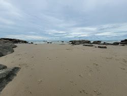Manis Beach'in fotoğrafı vahşi alan