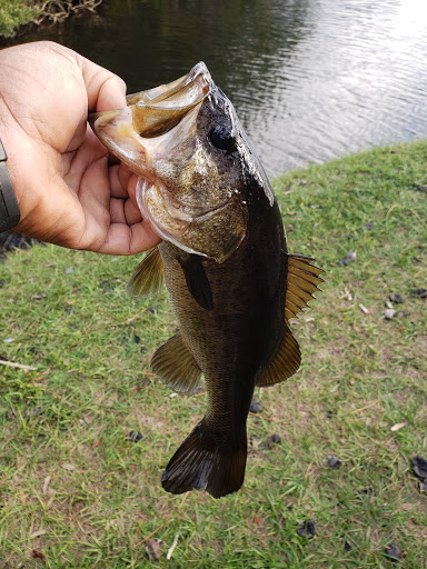 Park «Secret Lake Park», reviews and photos, 200 N Triplet Lake Dr, Casselberry, FL 32707, USA