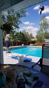 Tony's Services Inc./Tony's Pool Service - Photo 4 - Car repair in Littleton, CO, Denver