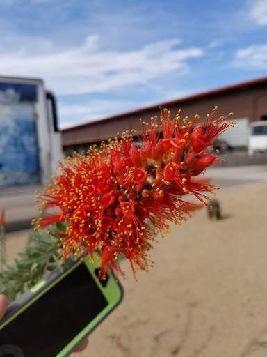 Event Venue «WestWorld of Scottsdale», reviews and photos, 16601 N Pima Rd, Scottsdale, AZ 85260, USA