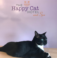 Happy Cat Hotel & Spa East Granby - Photo 7 - Car repair in East Granby, CT, Springfield